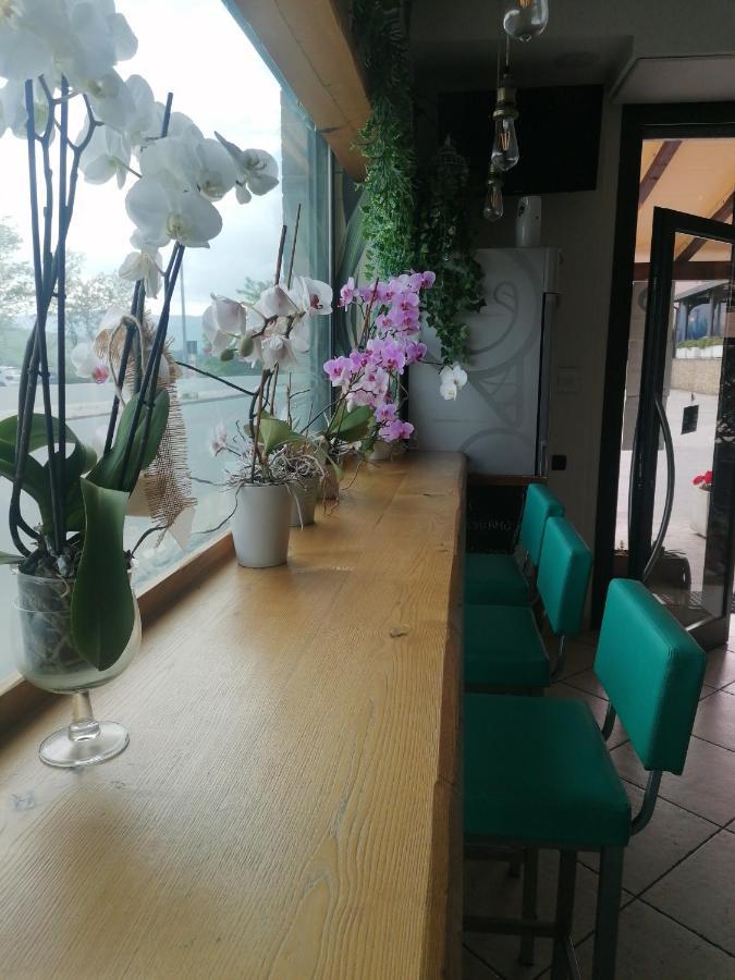 Albergo Le 2 Rose ซาน เซเวริโน มาร์เค ภายนอก รูปภาพ